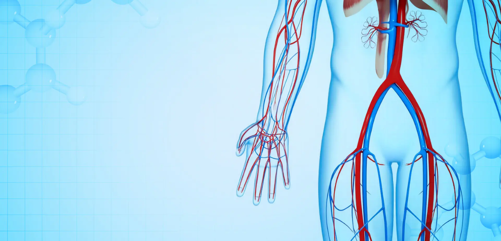 NINGBO LINSTANT POLYMER MATERIALS CO,. LTD.